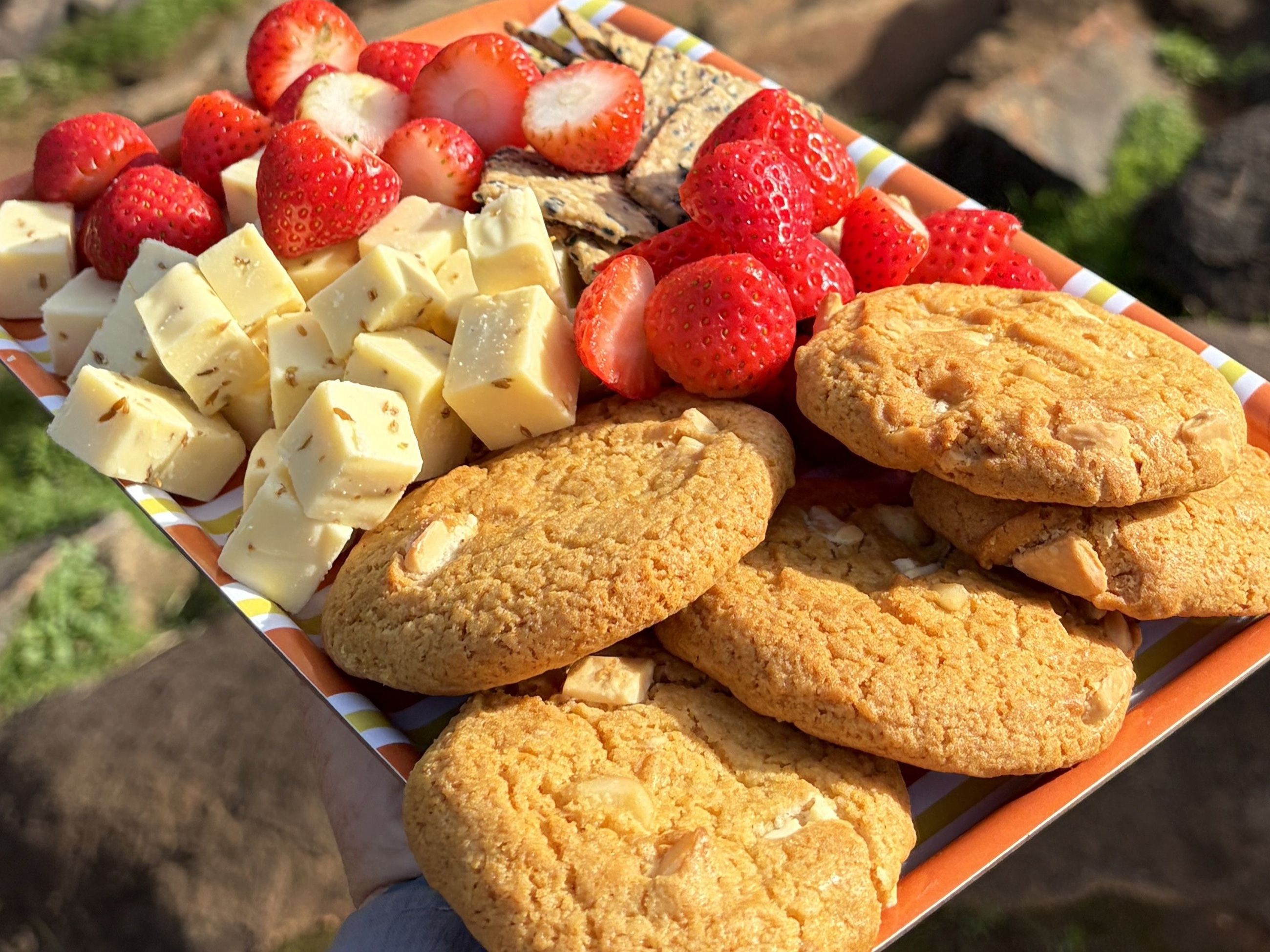native-inspired morning tea on Off the Beaten Track Perth Hills wildflower hike