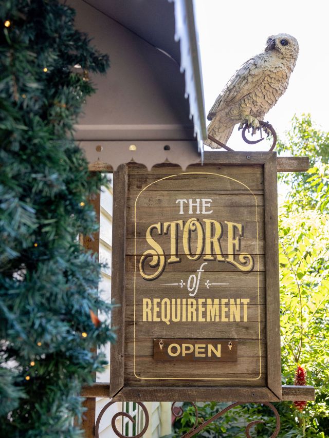 The Store of Requirement