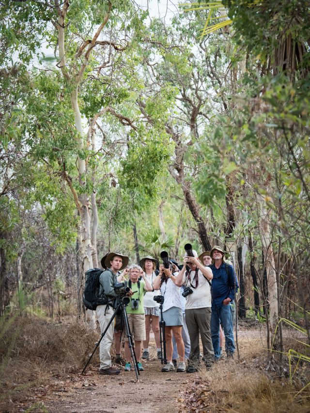 Kakadu Bird Week in Kakadu National Park, NT