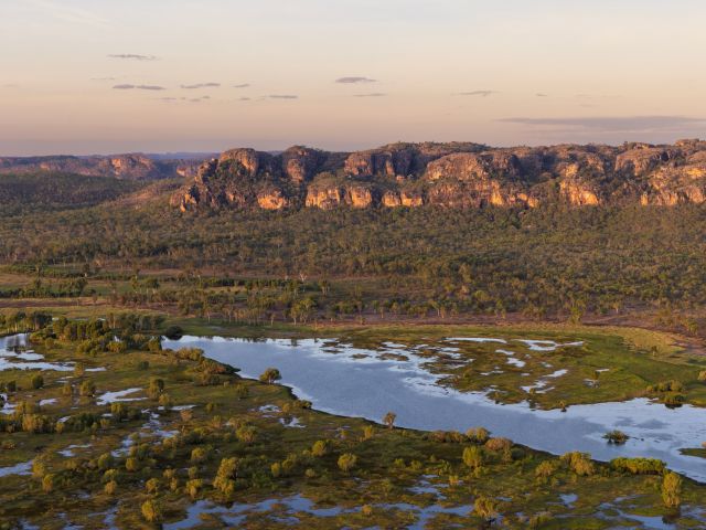Kakadu Bird Week in Kakadu National Park, NT
