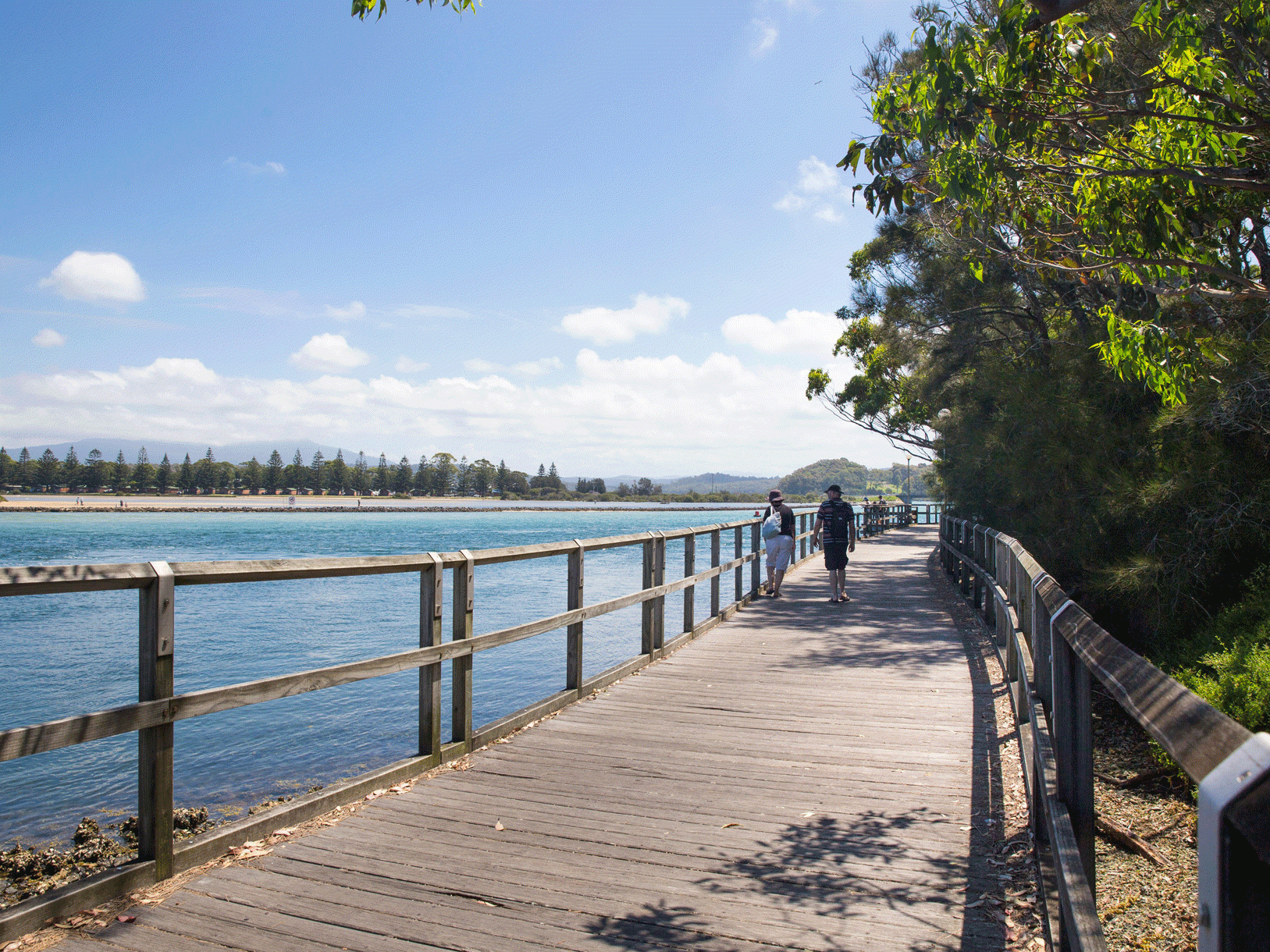 Mill Bay Boardwalk in Narooma