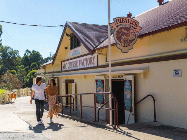 tilba dairy factory