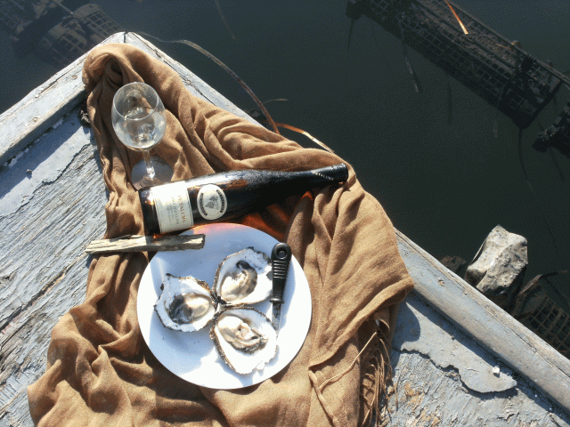 narooma oysters