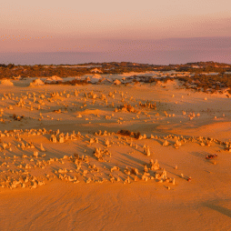 pinnacles desert wa