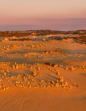 pinnacles desert wa