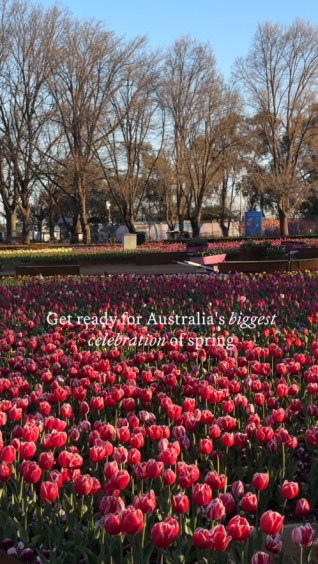 Australia’s biggest celebration of spring is almost here