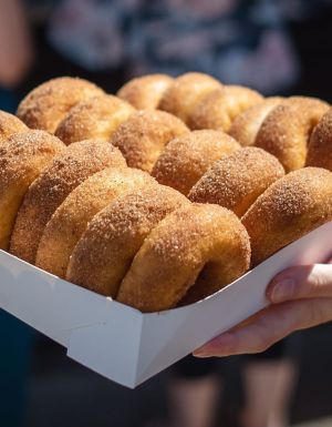 Legendary doughnuts served piping hot with a dusting of cinnamon sugar from Berry Donut Van