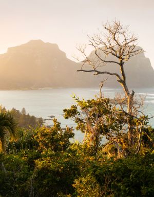 Lord Howe Island at sunset