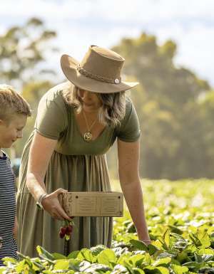 Adelaide hills bloom an harvest trail