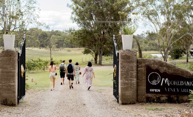 Palmers Lane Wine EcoTrail walkers arriving at moorebank wines