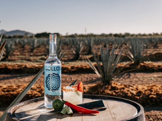 bottle of sollos spirit at the sollos estate