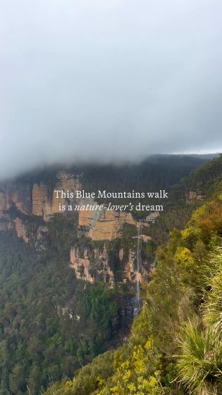 This Blue Mountains walk is a nature lover’s dream