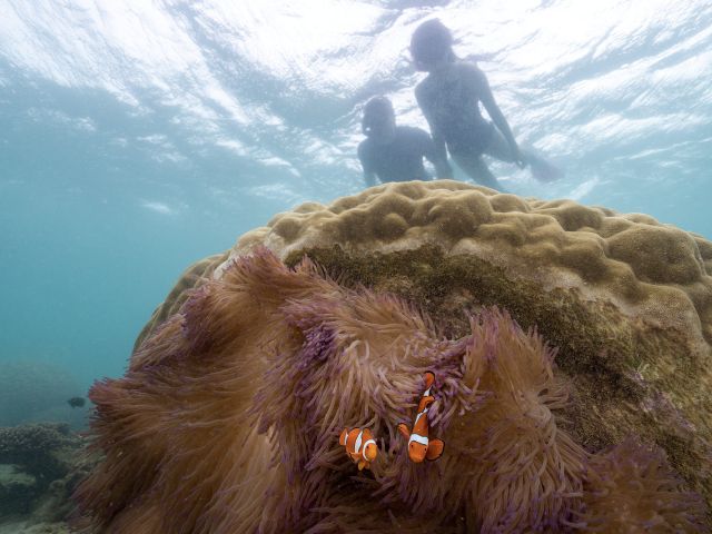  Great Barrier Reef
