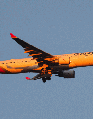 qantas double points
