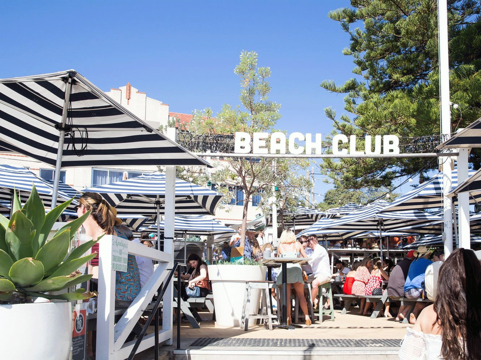 watsons bay hotel