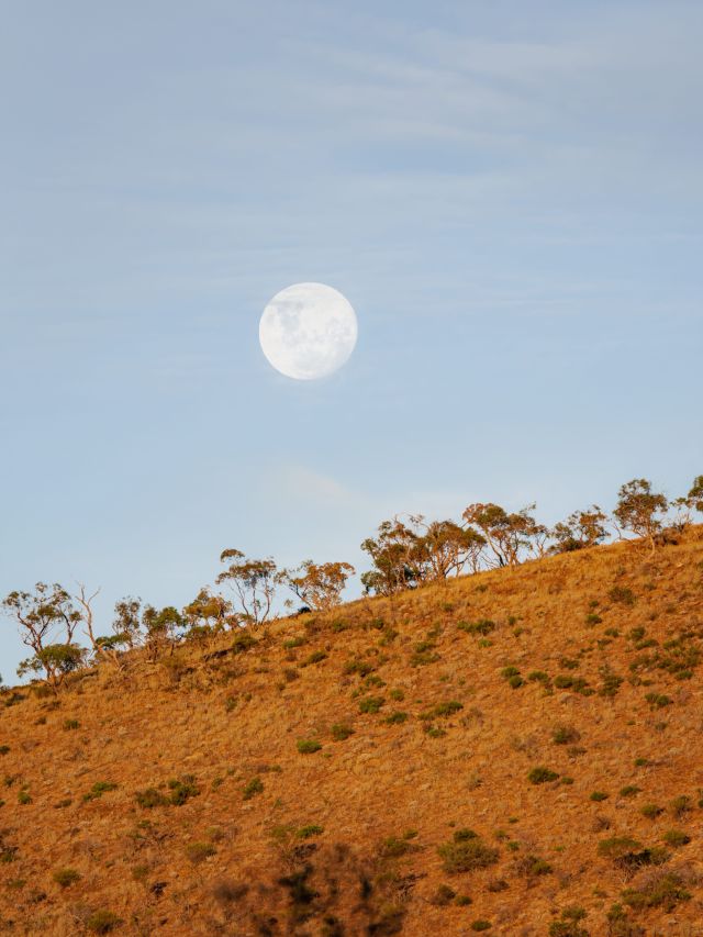 Hawker, Flinders Ranges