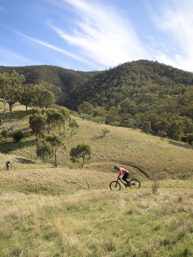 Experience Melrose, Flinders Ranges