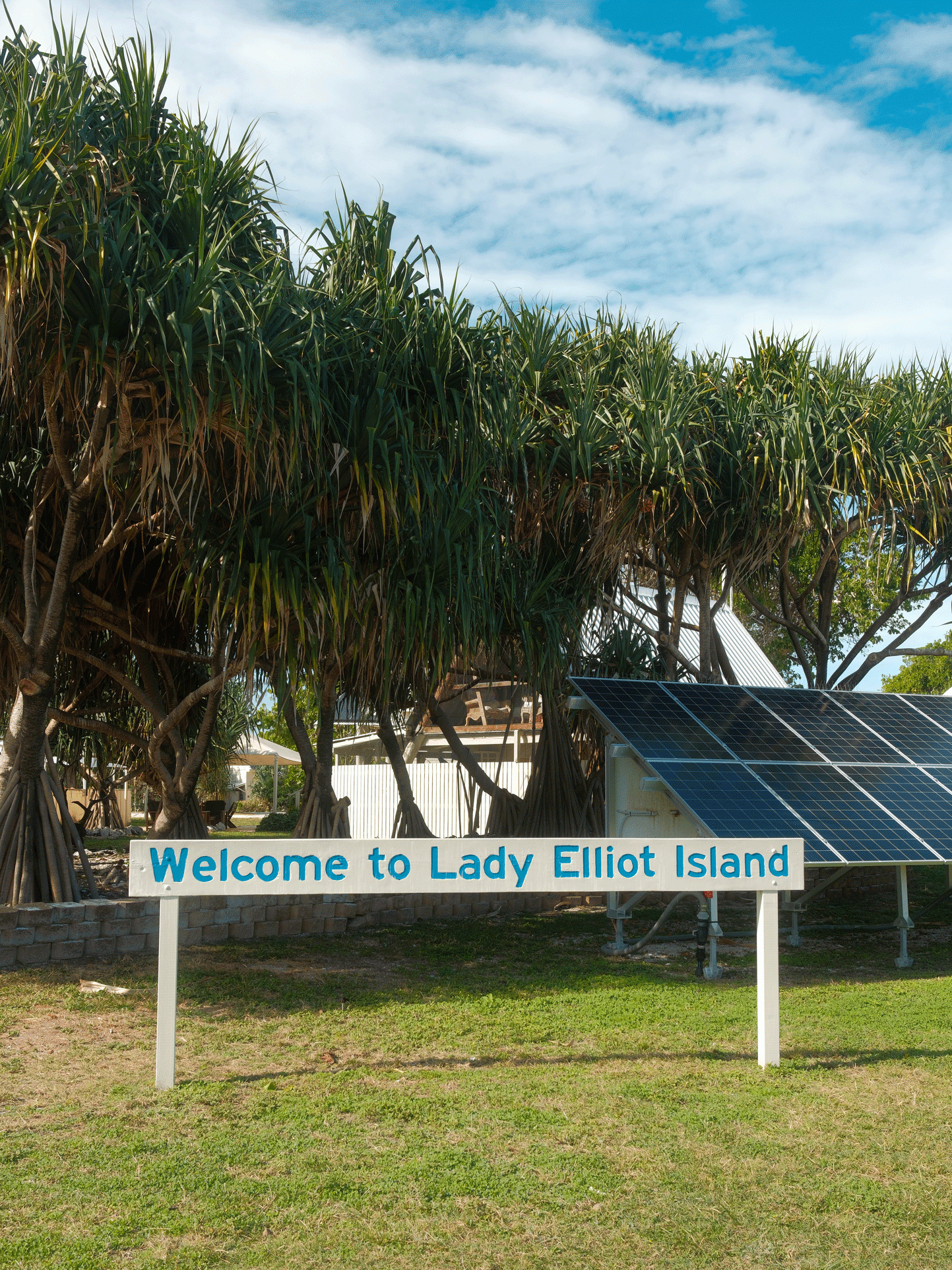 lady elliot island