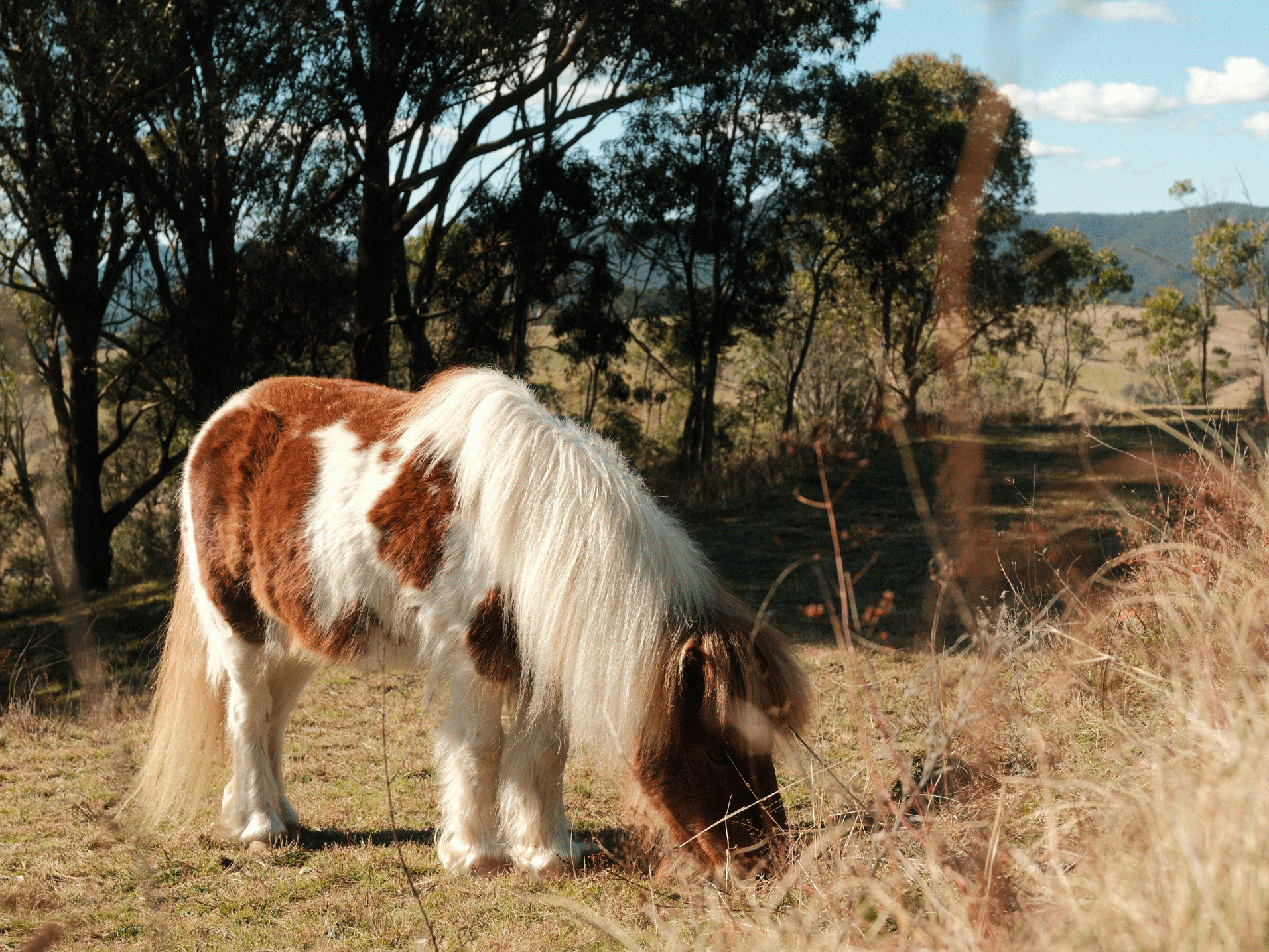 mt kanimbla retreats