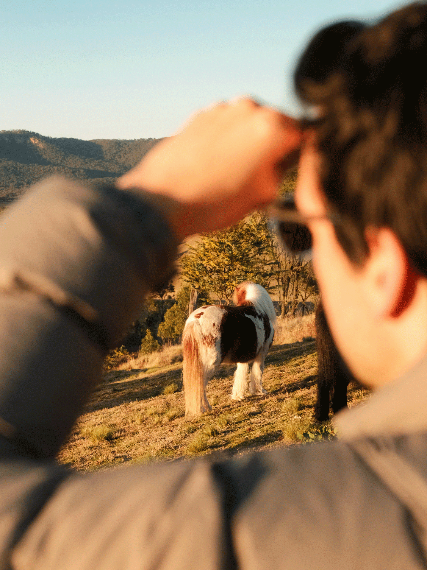 mt kanimbla retreats ponies