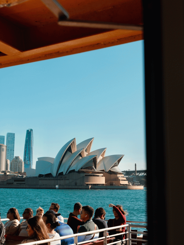 sydney ferry harbour view