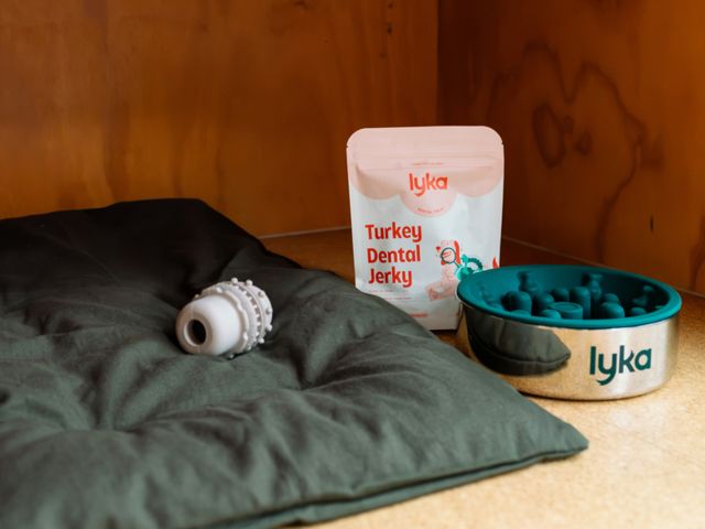 Lyka X Unyoked dog-first cabins