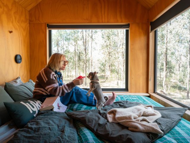 Lyka X Unyoked dog-first cabins