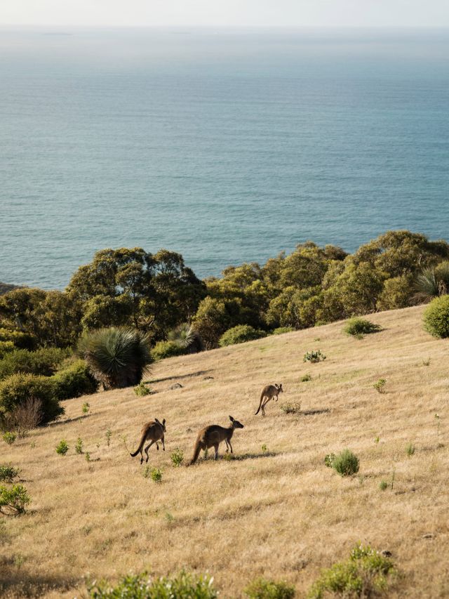 Deep Creek National Park, Flinders Ranges