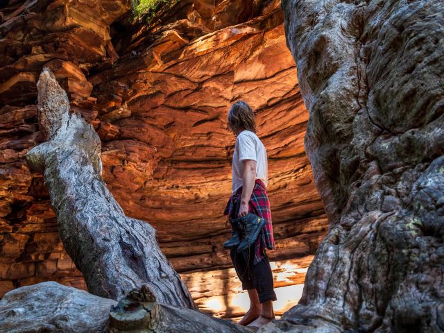 Alligator Gorge, Flinders Ranges