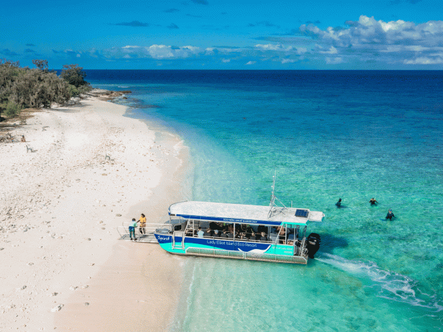 lady elliot island snorkelling