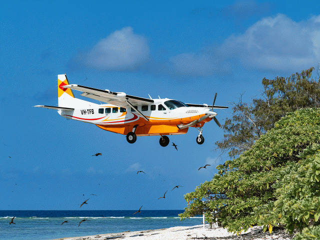 lady elliot island day trip