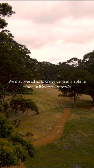 We discovered nature’s version of airplane mode in WA