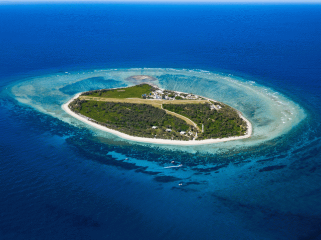 lady elliot island day trip