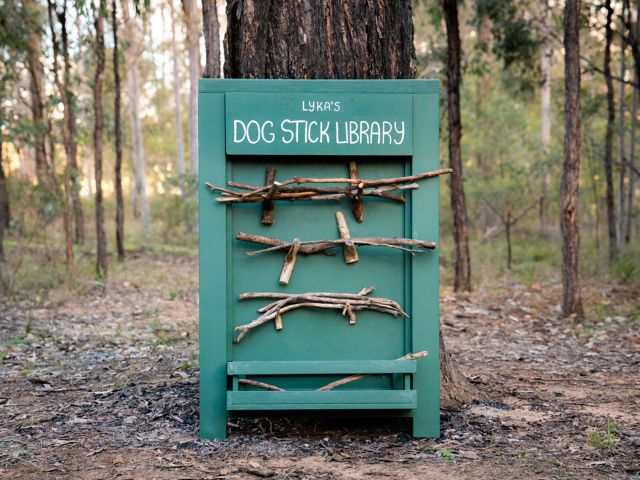 Lyka X Unyoked dog-first cabins