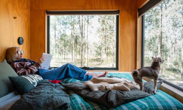 Lyka X Unyoked dog-first cabins