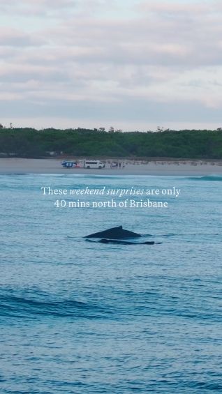 Unexpected weekend experiences in Moreton Bay