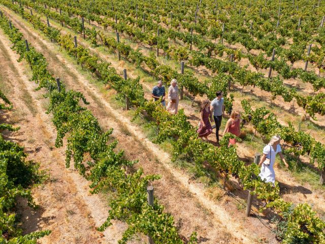 Sandalford Wines, WA