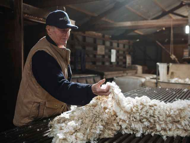 man working at shear outback in nsw