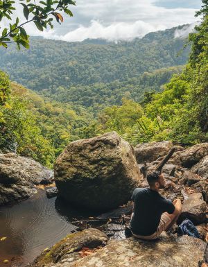 experience the Gold Coast at springbrook national park Warrie Circuit, looking out from Ngarri-dhum Falls