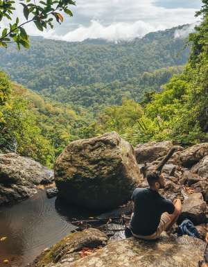 experience the Gold Coast at springbrook national park Warrie Circuit, looking out from Ngarri-dhum Falls