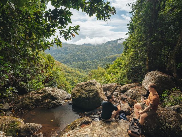 experience the Gold Coast at springbrook national park Warrie Circuit, looking out from Ngarri-dhum Falls