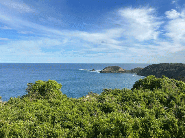 Two Bays Trail in Victoria