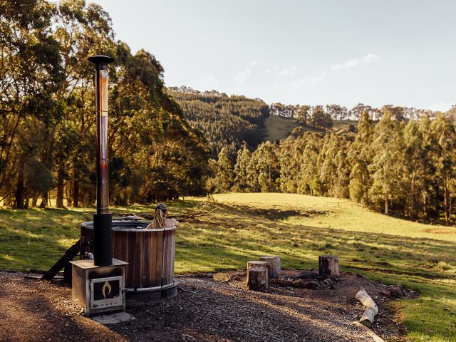 Lyka X Unyoked dog-first cabins