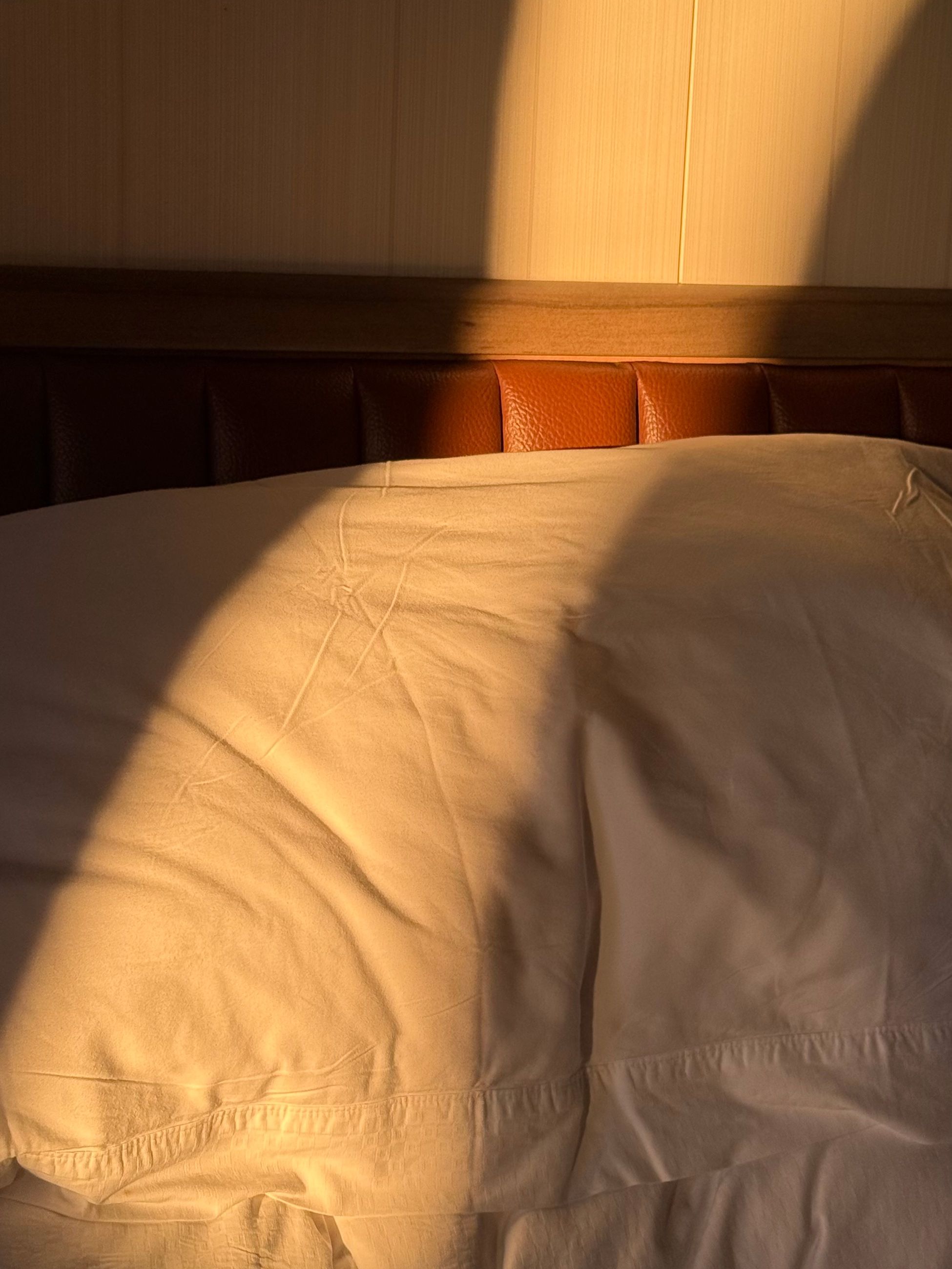 King bed in Veranda Suite on Seabourn Pursuit