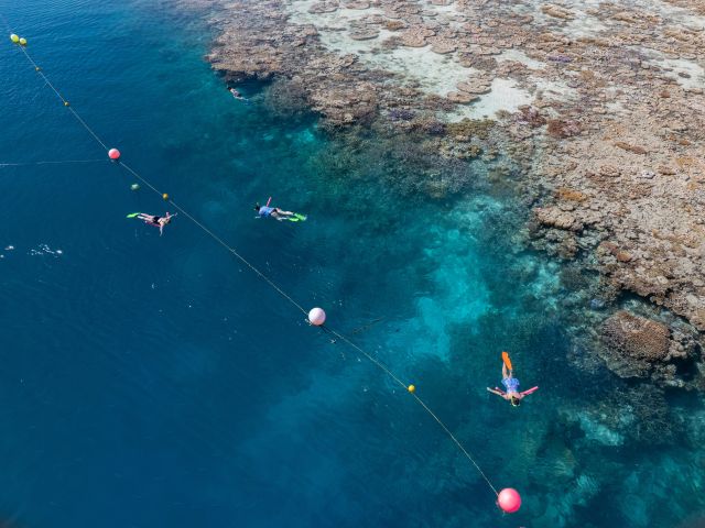 guests snorkelling the great barrier reef at cruise whitsunday reefworld 