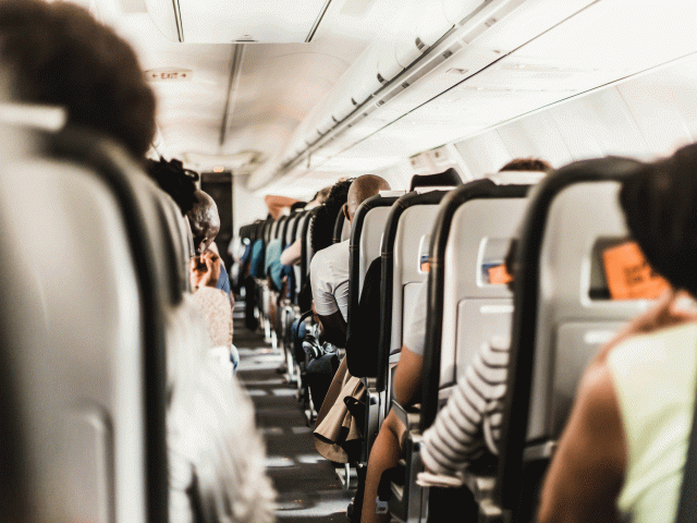 plane travel habits