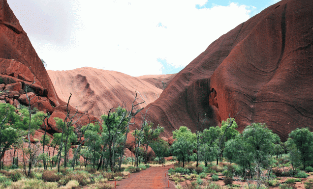 Red Centre as Lonely Planet's only Aussie experience