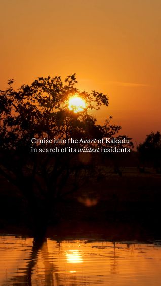 Cruise into the heart of Kakadu in search of its wildest residents