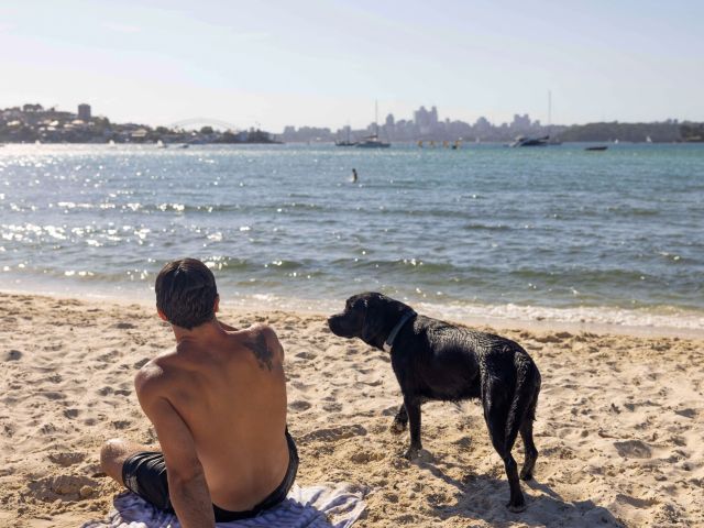 Rose Bay Foreshore, Sydney NSW