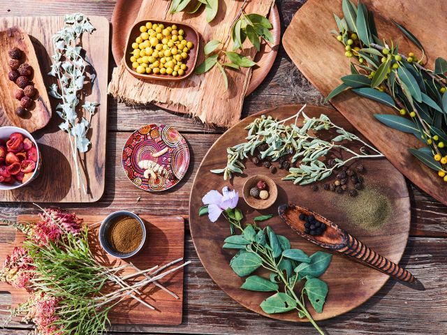 Bush Food Experience with Ayers Rock Resort